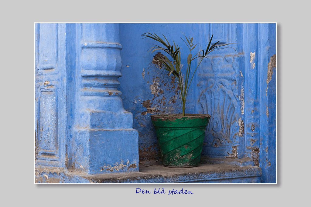 Den Blå Staden – Jodhpur